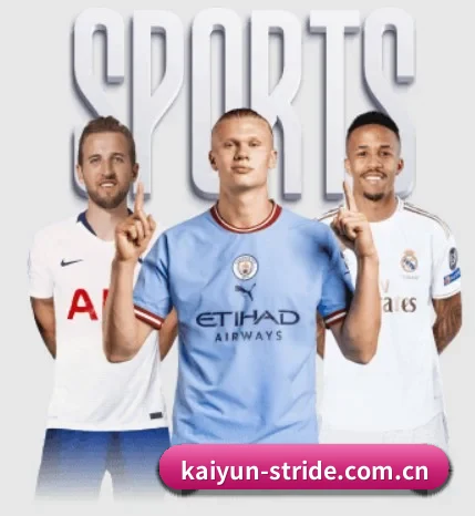 五大服务分区,信息按项目分类 | kaiyun